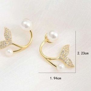 Fashion earrings